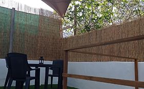 Estudio Olivina
